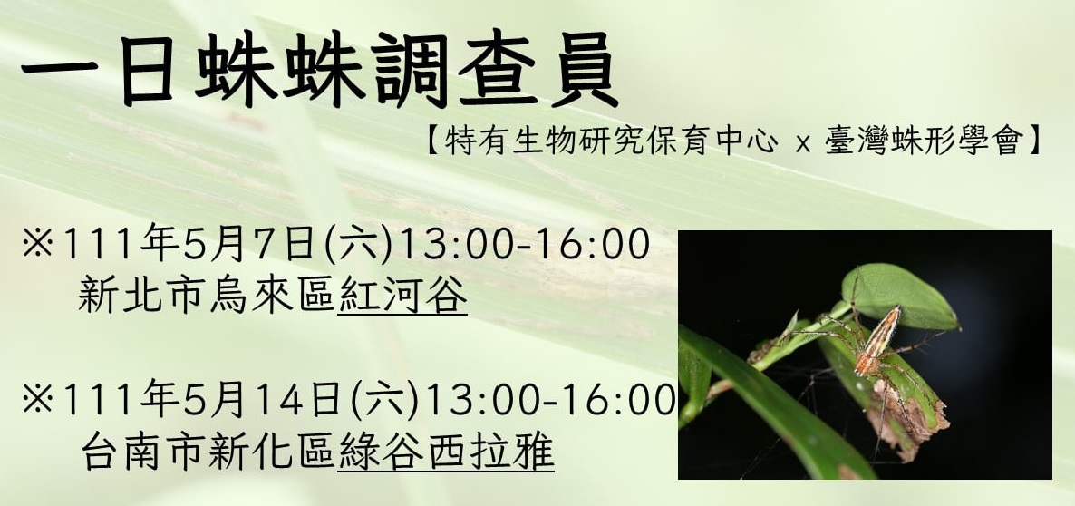 2021年一日蜘蛛調查活動