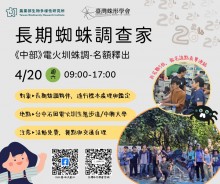 2024【臺灣蛛形學會&生多所】四月蜘蛛調查 